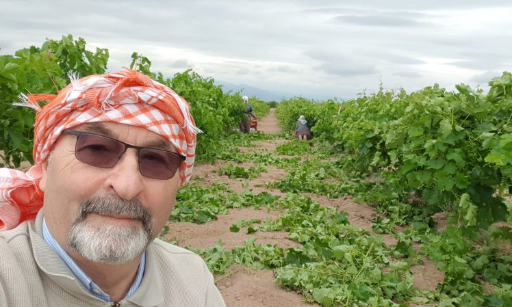 BAKARSAN BAĞ OLUR